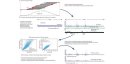 PeakSeq__Figure2.jpg