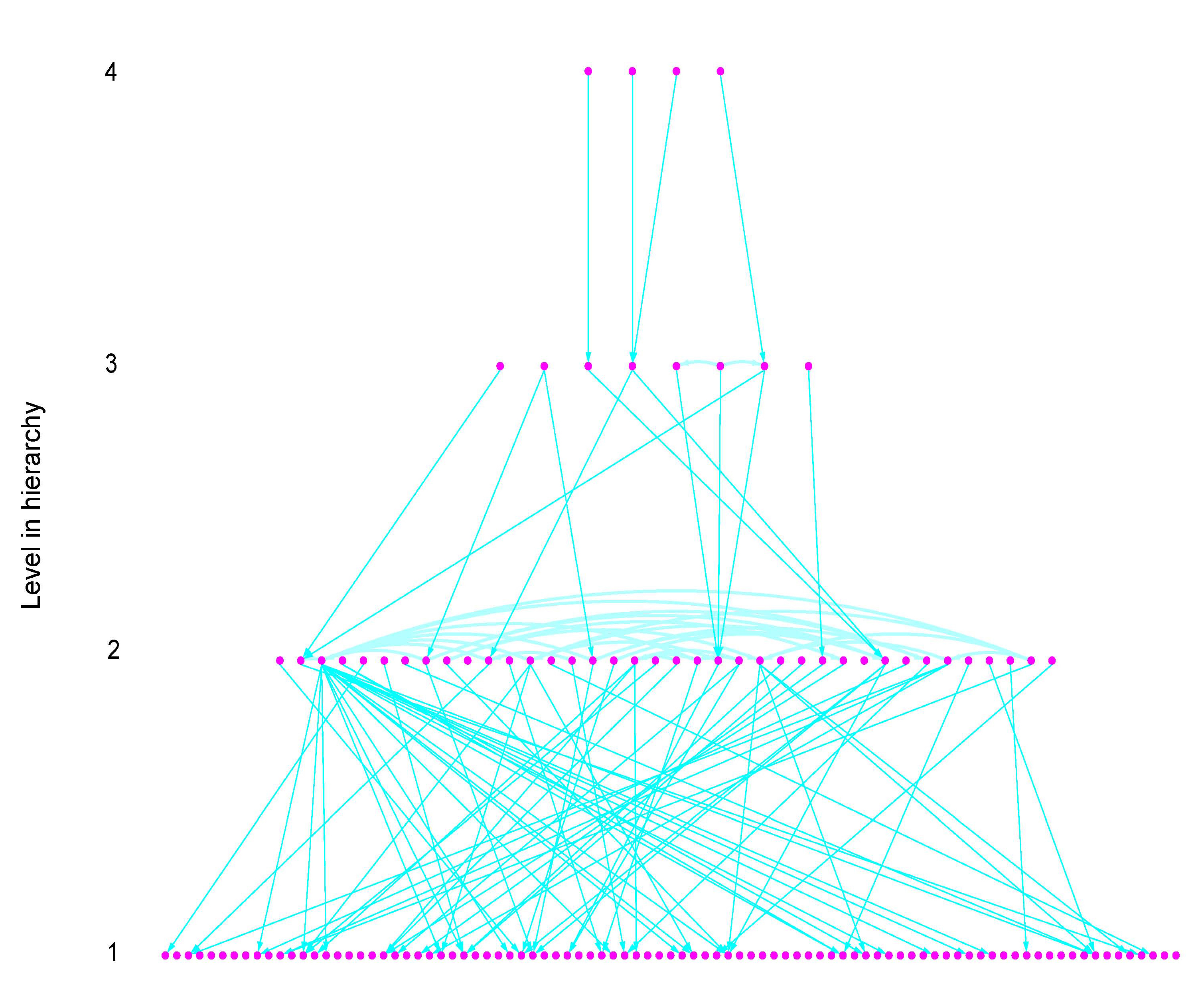 E. coli Hierarchy