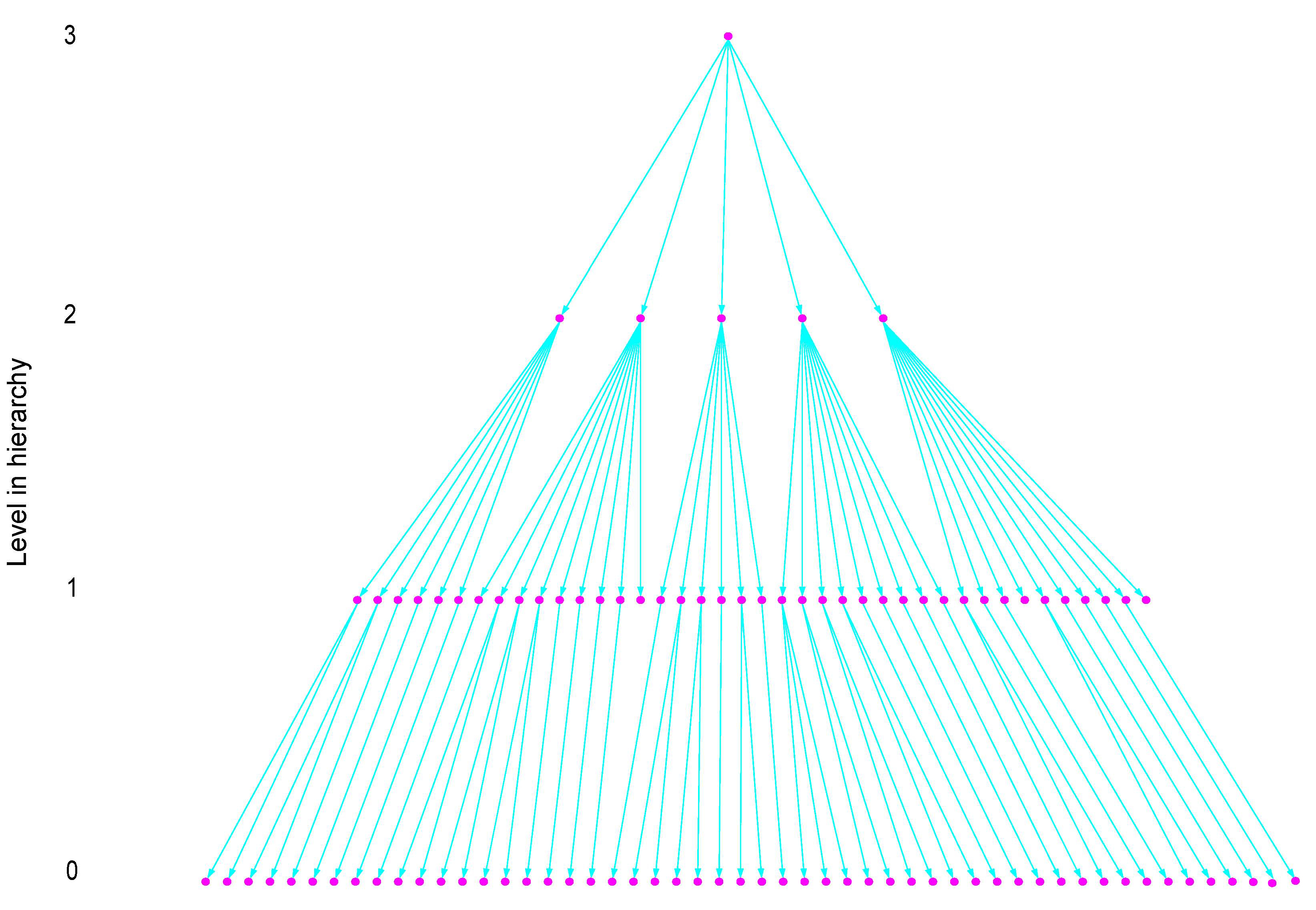 Macao Hierarchy