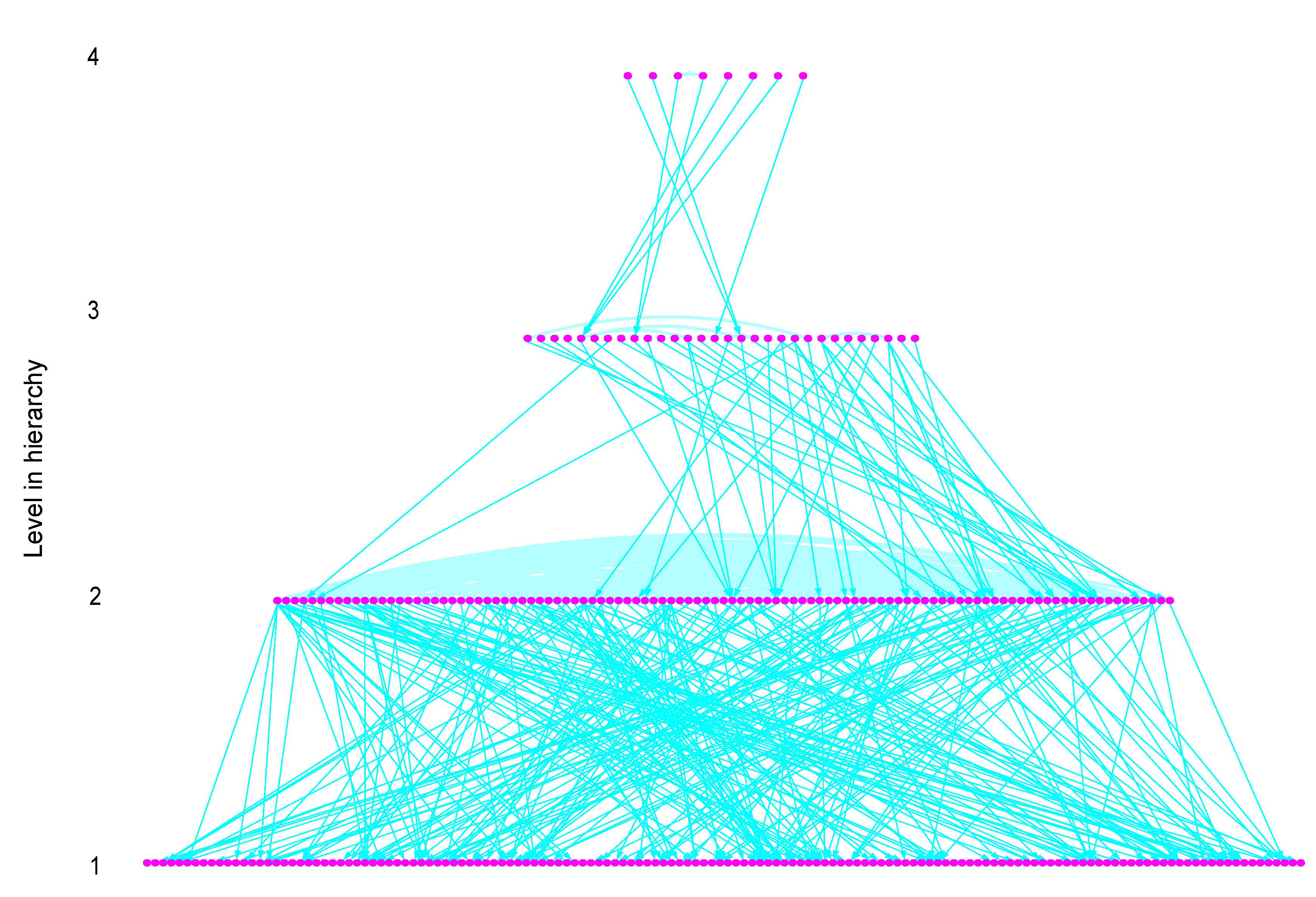 Yeast Hierarchy